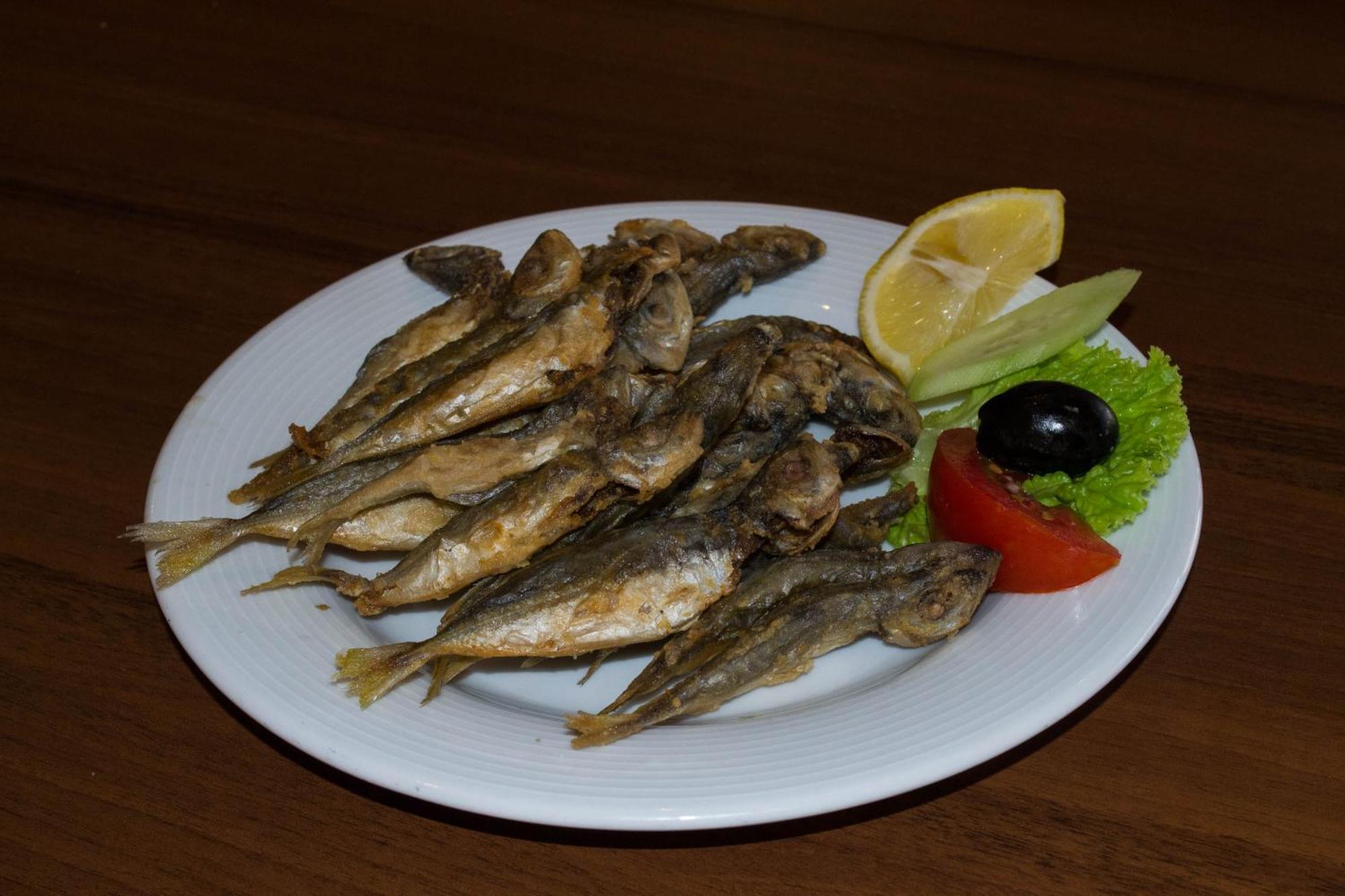 Evridika 3*